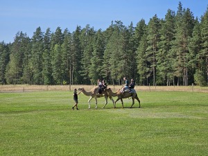 Travelnews.lv apmeklē «Rakšu» brīvdabas ZOO Cēsu novadā 17