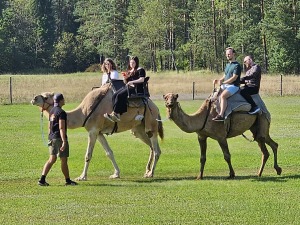 Travelnews.lv apmeklē «Rakšu» brīvdabas ZOO Cēsu novadā 34