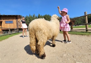 Travelnews.lv apmeklē «Rakšu» brīvdabas ZOO Cēsu novadā 4