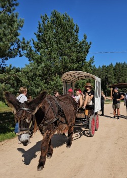 Travelnews.lv apmeklē «Rakšu» brīvdabas ZOO Cēsu novadā 9