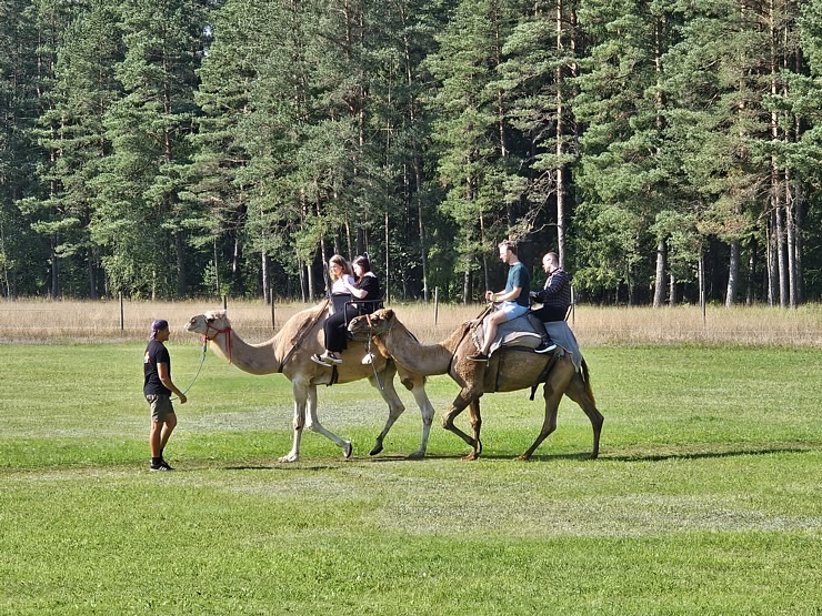 «Rakšu» brīvdabas ZOO Cēsu novadā piedāvā ne tikai kontaktu ar dzīvniekiem, bet arī teicamu infrastruktūru 358627