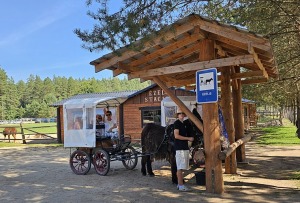 «Rakšu» brīvdabas ZOO Cēsu novadā piedāvā ne tikai kontaktu ar dzīvniekiem, bet arī teicamu infrastruktūru 31