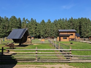 «Rakšu» brīvdabas ZOO Cēsu novadā piedāvā ne tikai kontaktu ar dzīvniekiem, bet arī teicamu infrastruktūru 32