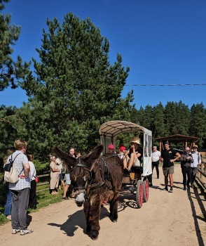 «Rakšu» brīvdabas ZOO Cēsu novadā piedāvā ne tikai kontaktu ar dzīvniekiem, bet arī teicamu infrastruktūru 33