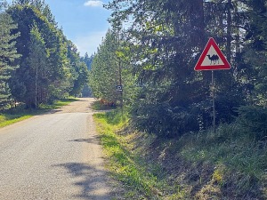 «Rakšu» brīvdabas ZOO Cēsu novadā piedāvā ne tikai kontaktu ar dzīvniekiem, bet arī teicamu infrastruktūru 45