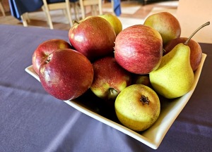 Iepazīstam lauku viesnīcu «Kārļamuiža» Cēsu novadā un izgaršojam dārza ābolus 40