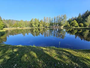 Dodamies pārgājienā pa Līgatnes dabas takām un lūkojam daudzās alas 11