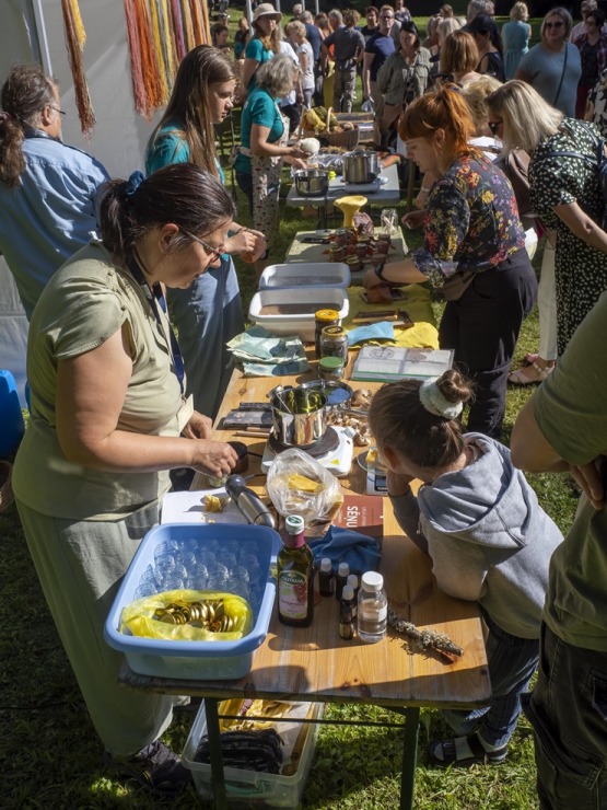 Zaubes savvaļas kulinārais festivāls pulcē dabas garšu un tautas pavārmākslas cienītājus. Foto: Andris Eglītis 359729