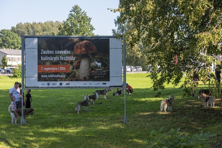 Zaubes savvaļas kulinārais festivāls pulcē dabas garšu un tautas pavārmākslas cienītājus. Foto: Andris Eglītis 359760