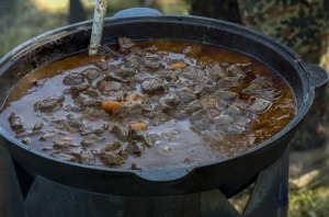 Zaubes savvaļas kulinārais festivāls pulcē dabas garšu un tautas pavārmākslas cienītājus. Foto: Andris Eglītis 13