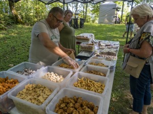 Zaubes savvaļas kulinārais festivāls pulcē dabas garšu un tautas pavārmākslas cienītājus. Foto: Andris Eglītis 14