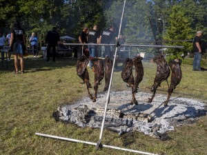 Zaubes savvaļas kulinārais festivāls pulcē dabas garšu un tautas pavārmākslas cienītājus. Foto: Andris Eglītis 25