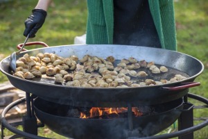 Zaubes savvaļas kulinārais festivāls pulcē dabas garšu un tautas pavārmākslas cienītājus. Foto: Andris Eglītis 3