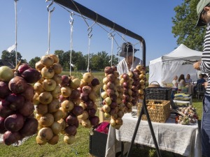 Zaubes savvaļas kulinārais festivāls pulcē dabas garšu un tautas pavārmākslas cienītājus. Foto: Andris Eglītis 33