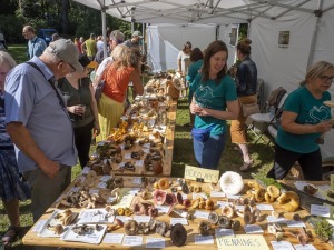 Zaubes savvaļas kulinārais festivāls pulcē dabas garšu un tautas pavārmākslas cienītājus. Foto: Andris Eglītis 9