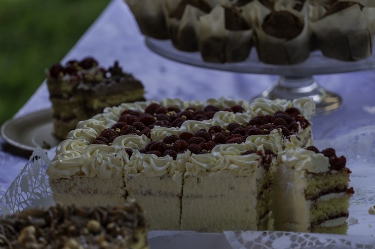 Daži fotomirkļi no Mājas kafejnīcu dienām Sēlijas pusē. Foto: selija.com 360730