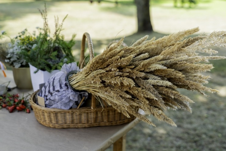 Daži fotomirkļi no Mājas kafejnīcu dienām Sēlijas pusē. Foto: selija.com 360753