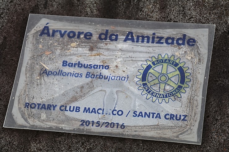 Madeiras pilsētā Santana iepazīstam salas tradicionālās mājas «Casas de Colmo». Sadarbībā ar «airBaltic» Madeiras pilsētā Santana iepazīstam salas tradicionālās mājas «Casas de Colmo». Sadarbībā ar «airBaltic» 361360