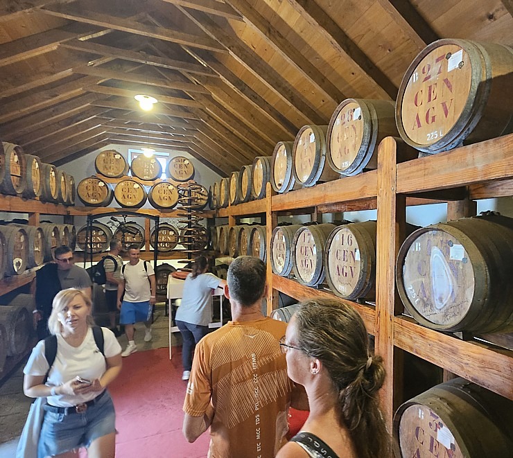 Iepazīstam Madeiras cukura ražotni «Engenhos do Norte» un degustējam «Casa do Rum» vietējo rumu. Sadarbībā ar «airBaltic» Iepazīstam Madeiras cukura ražotni «Engenhos do Norte» un degustējam «Casa do Rum» vietējo rumu. Sadarbībā ar «airBaltic» 361697