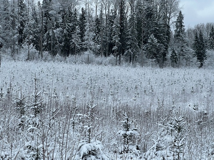 Māris Olte aicina ceļotājus uz Ērgļu pusi un baudīt ziemas priekus. Foto: Māris Olte 367531