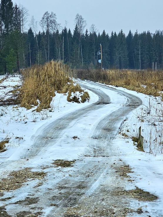 Apmeklējam Mārupes novada lauku saimniecību «Mārlapiņi», kur top mārrutku degustācija 368320