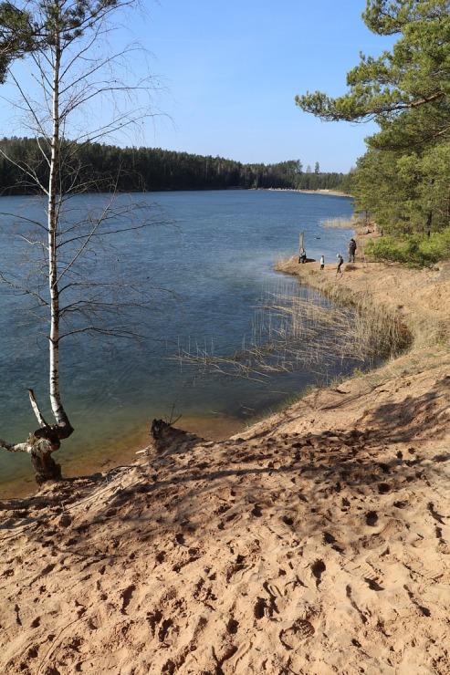 Zilo kalnu dabas parks Ogres novadā kļūst par magnētu pavasara gaidītājiem 368737