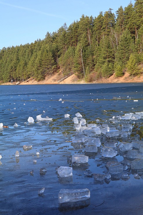 Zilo kalnu dabas parks Ogres novadā kļūst par magnētu pavasara gaidītājiem 368738