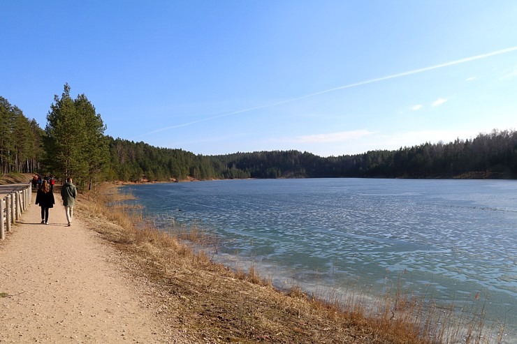 Zilo kalnu dabas parks Ogres novadā kļūst par magnētu pavasara gaidītājiem 368741