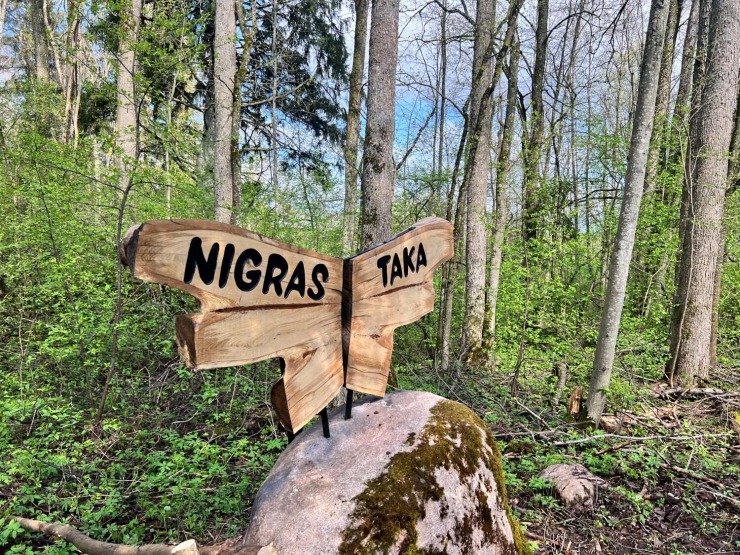 Nigras taka nav viegls pastaigu maršruts pa laipām parkā. 370668
