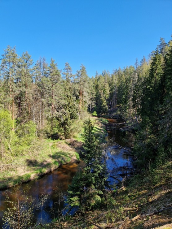 Pārgājiens starp diviem alus brūžiem - no Valmiermuižas līdz Brenguļiem - gar Gauju un Abulu. Foto: Inese Šīrava 370786