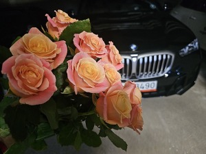 Sadarbībā ar auto nomu «Sixt Latvija» apceļojam Latviju ar vāģi «BMW X5» 20