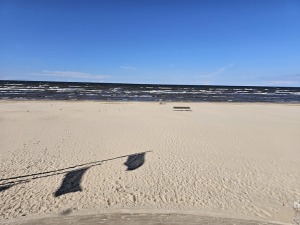  Travelnews.lv ceļo uz Siguldu un Jūrmalu ar jauno un 367 zs jaudīgo «Audi S5 Sedan» 24