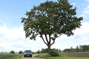 Travelnews.lv ceļo kopā ar «Gada auto» jaunajiem spēkratu pretendentiem 1
