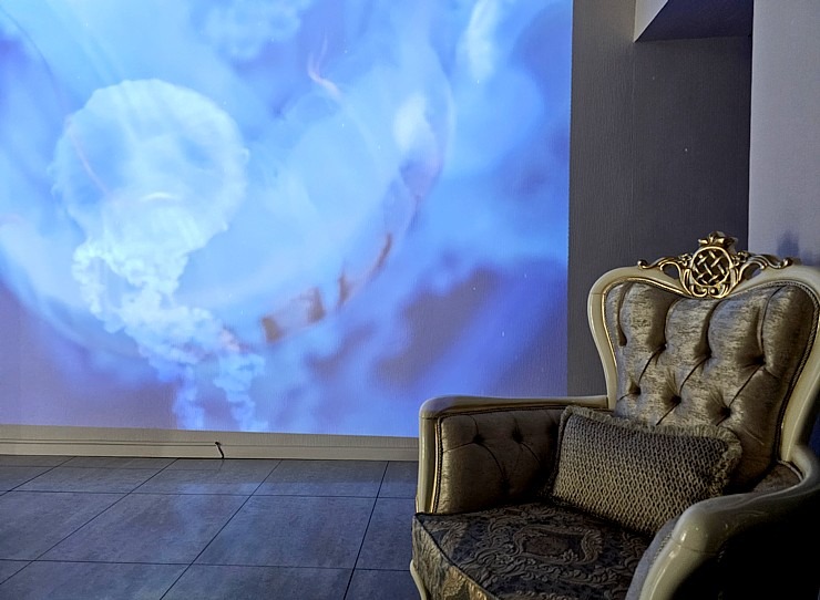 Rīgā ir atvēries jauns ķermeņa un dvēseles harmonijas salons «Orchid SPA» 372326