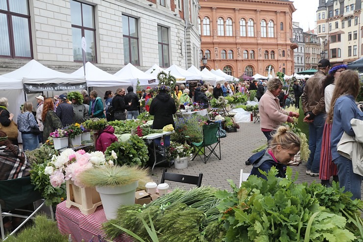 Rīgas Doma laukumā norisinās ikgadējais Zāļu tirgus 372818