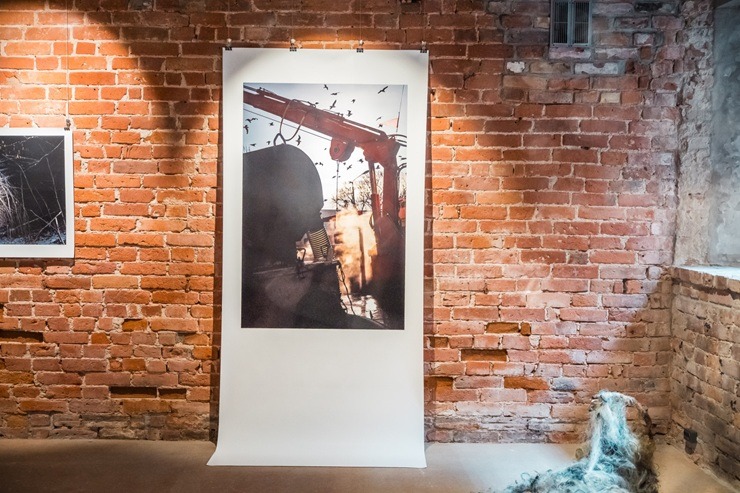 Liepāja: Izstāde «Nenorunāta smilšaina tikšanās II» aicina aplūkot dzīvi Baltijas jūras piekrastē Liepāja: Izstāde «Nenorunāta smilšaina tikšanās II» aicina aplūkot dzīvi Baltijas jūras piekrastē 373771