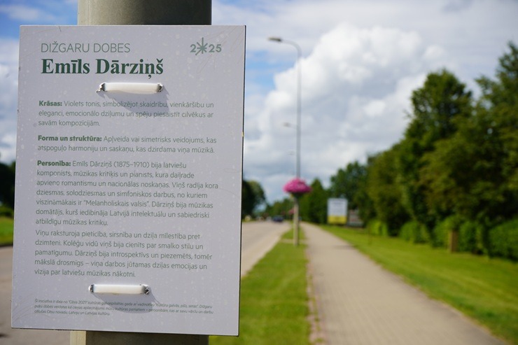 Cēsīs krāšņi uzziedējušas Dižgaru dobes 374044