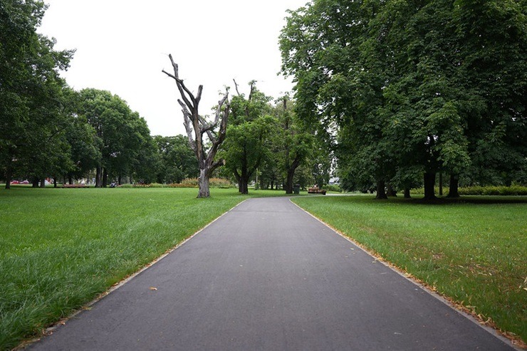 Rīga kļūst sakoptāka: Uzvaras parkā atjaunoti celiņi un izvietoti soliņi 374848