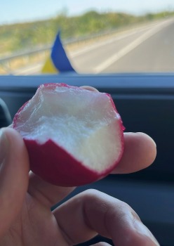 46