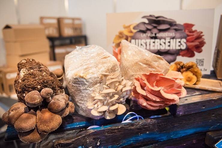 Ķīpsalā norit Baltijas lielākā pārtikas industrijas izstāde «Riga Food 2025», kurai ir jau 30 gadu dzimšanas diena. Foto: Ieva Makare Ķīpsalā norit Baltijas lielākā pārtikas industrijas izstāde «Riga Food 2025», kurai ir jau 30 gadu dzimšanas diena. Foto: Ieva Makare 376368