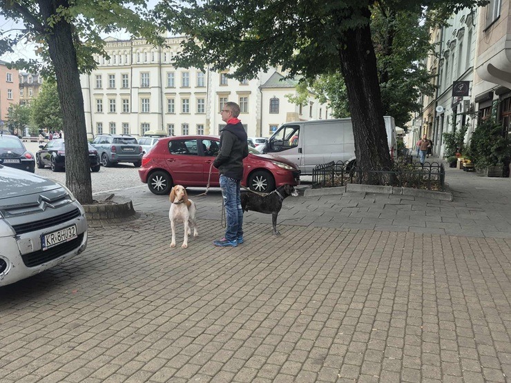 Travelnews.lv iejūk starp tūristiem un izbauda rudenīgo Krakovu 378223