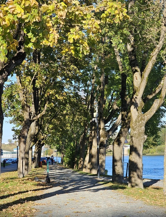 Nr.12 Aplūkojam Igaunijas - Krievijas robežu starp Narvu un Ivangorodu. Sadarbībā ar «Active Travel» un Idaviru Nr.12 Aplūkojam Igaunijas - Krievijas robežu starp Narvu un Ivangorodu. Sadarbībā ar «Active Travel» un Idaviru 378833