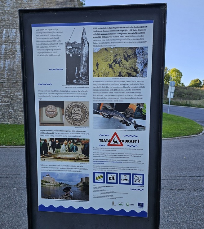 Nr.12 Aplūkojam Igaunijas - Krievijas robežu starp Narvu un Ivangorodu. Sadarbībā ar «Active Travel» un Idaviru Nr.12 Aplūkojam Igaunijas - Krievijas robežu starp Narvu un Ivangorodu. Sadarbībā ar «Active Travel» un Idaviru 378837