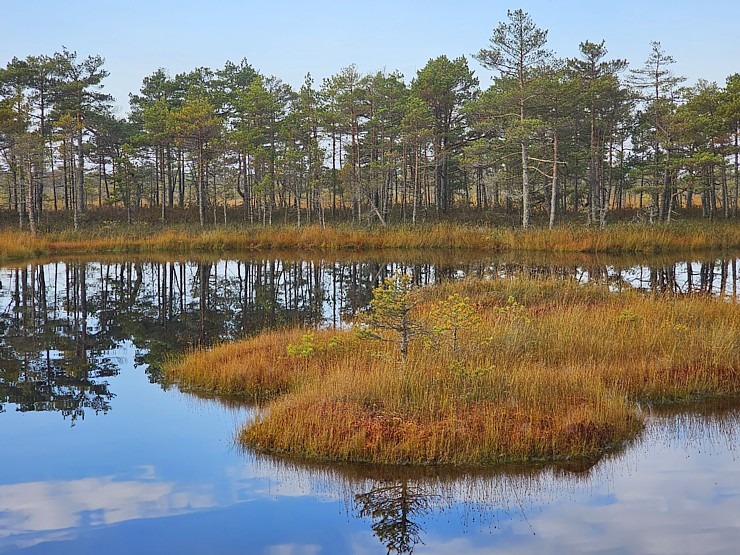 Rīta pārgājiens ar purva kurpēm pa Lielo Ķemeru tīreli. Sadarbībā ar VisitJurmala.lv 378891