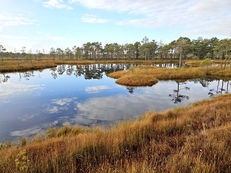 Rīta pārgājiens ar purva kurpēm pa Lielo Ķemeru tīreli. Sadarbībā ar VisitJurmala.lv 378893