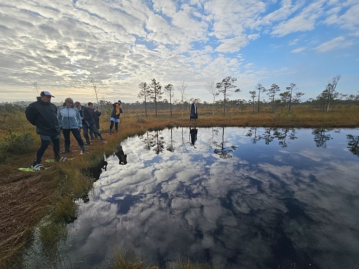 Rīta pārgājiens ar purva kurpēm pa Lielo Ķemeru tīreli. Sadarbībā ar VisitJurmala.lv 378913