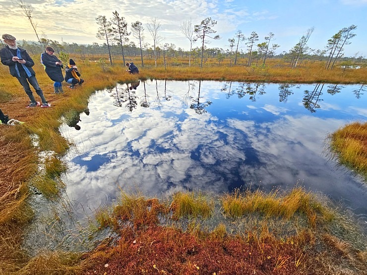 Rīta pārgājiens ar purva kurpēm pa Lielo Ķemeru tīreli. Sadarbībā ar VisitJurmala.lv 378885