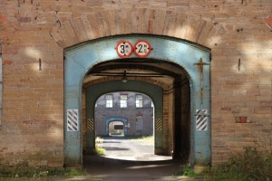33