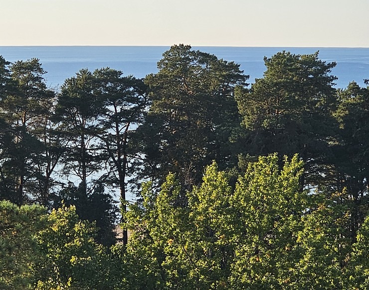Apmeklējam un nakšnojam Narvas viesnīcā «Meresuu Spa & Hotel». Sadarbībā ar «Active Travel» un Idaviru Apmeklējam un nakšnojam Narvas viesnīcā «Meresuu Spa & Hotel». Sadarbībā ar «Active Travel» un Idaviru 379051