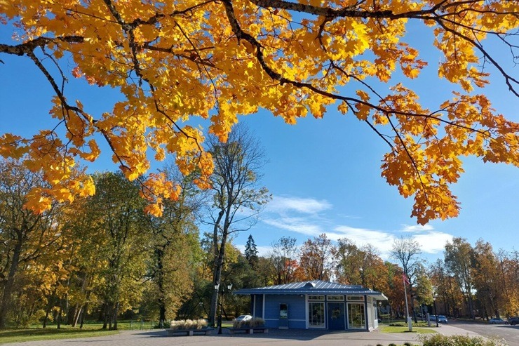 Zelta rudens priecē Alūksnes iedzīvotājus un viesus 379139